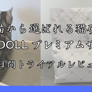 猫から選ばれる猫砂 国産ベントナイト「RAGDOLLプレミアムサンド