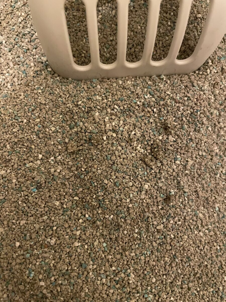 細かい猫砂の掃除