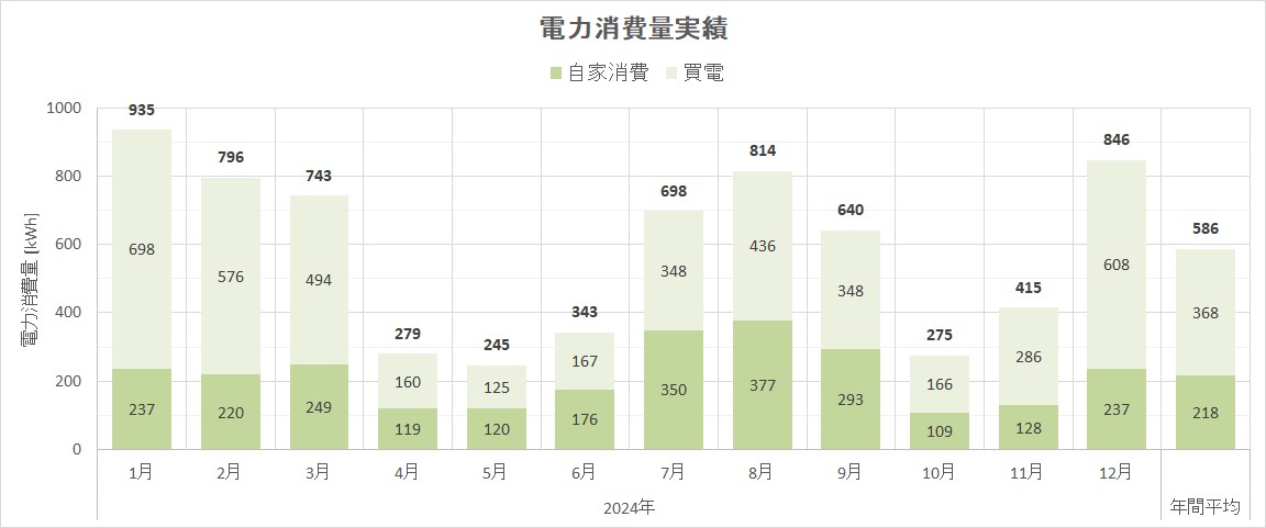 電力消費量実績（2024年）