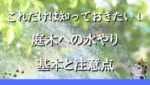 これだけは知っておきたい！庭木への水やりの基本と注意点
